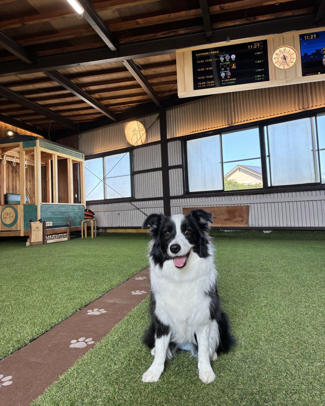 DOG STATION の室内ドッグランと電光掲示板
